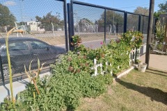 IMG_20240518_121904_221_HDR