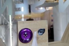 IMG_20221104_095532662-scaled