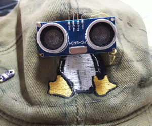 Gorra Activista / Lilypad