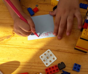 Taller Cuatrimestral