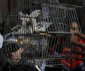 9na Fiesta del Libro y la Revista en la UNQ