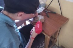 mano1